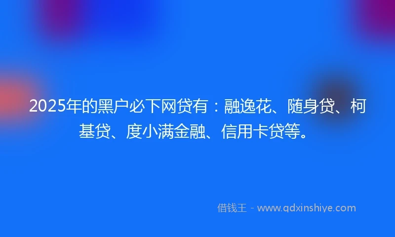 2025年的黑户必下网贷有：融逸花、随身贷、柯基贷、度小满金融、信用卡贷等。