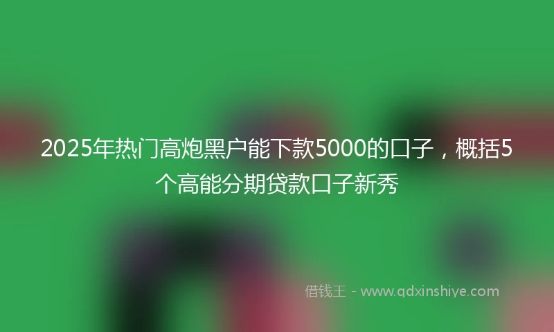 2025年热门高炮黑户能下款5000的口子，概括5个高能分期贷款口子新秀