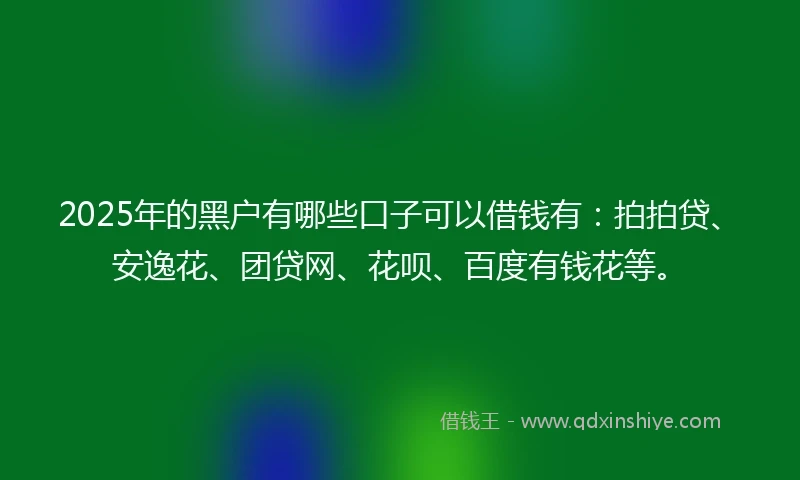 2025年的黑户有哪些口子可以借钱有：拍拍贷、安逸花、团贷网、花呗、百度有钱花等。