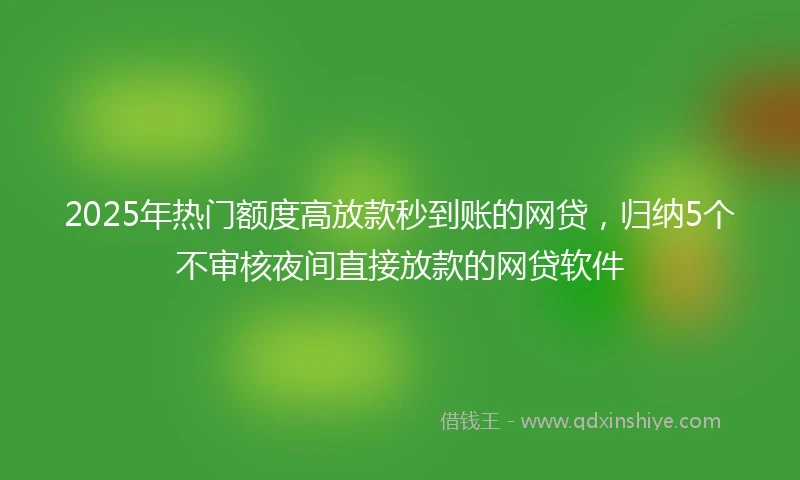 2025年热门额度高放款秒到账的网贷，归纳5个不审核夜间直接放款的网贷软件