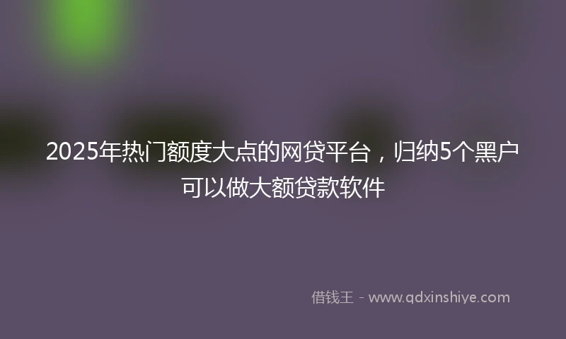 2025年热门额度大点的网贷平台，归纳5个黑户可以做大额贷款软件