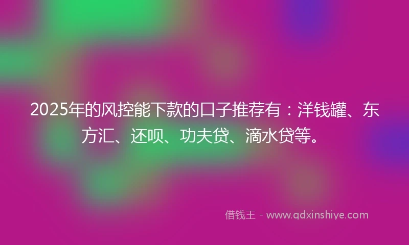 2025年的风控能下款的口子推荐有：洋钱罐、东方汇、还呗、功夫贷、滴水贷等。