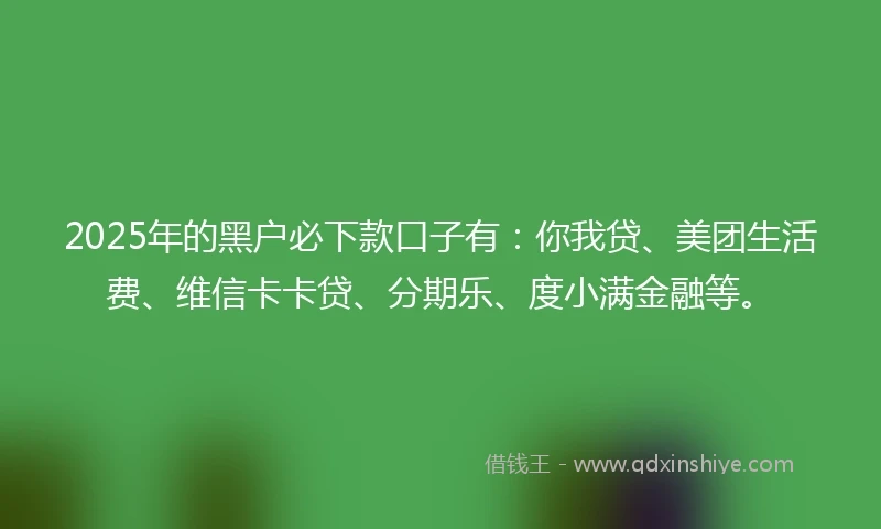 2025年的黑户必下款口子有：你我贷、美团生活费、维信卡卡贷、分期乐、度小满金融等。