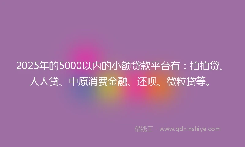 2025年的5000以内的小额贷款平台有：拍拍贷、人人贷、中原消费金融、还呗、微粒贷等。