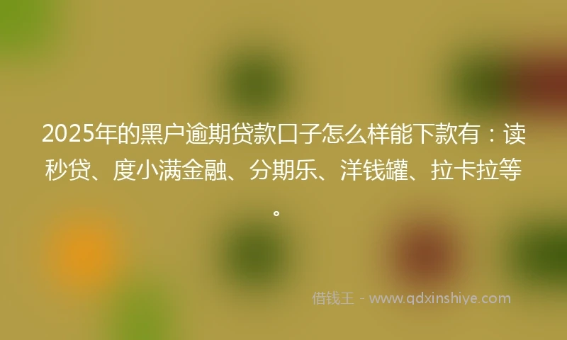 2025年的黑户逾期贷款口子怎么样能下款有：读秒贷、度小满金融、分期乐、洋钱罐、拉卡拉等。