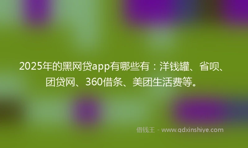2025年的黑网贷app有哪些有：洋钱罐、省呗、团贷网、360借条、美团生活费等。