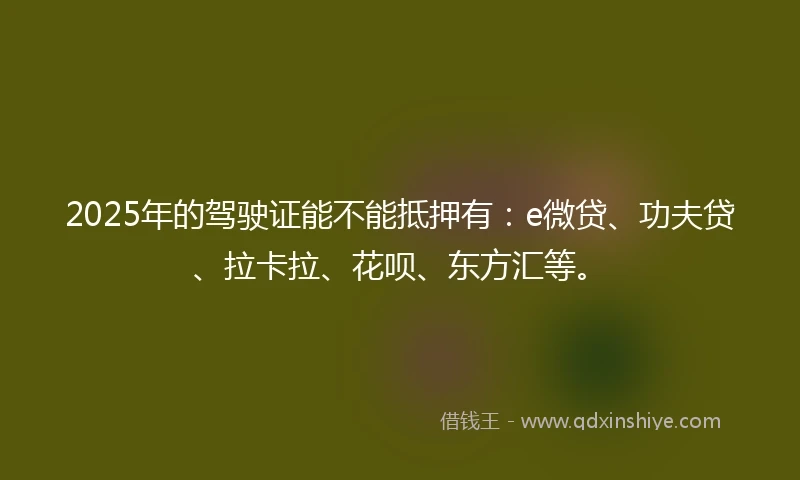 2025年的驾驶证能不能抵押有：e微贷、功夫贷、拉卡拉、花呗、东方汇等。