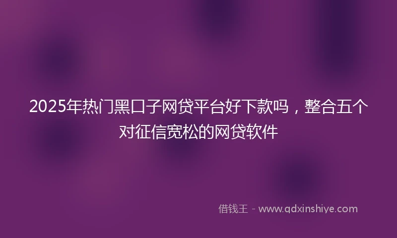 2025年热门黑口子网贷平台好下款吗，整合五个对征信宽松的网贷软件