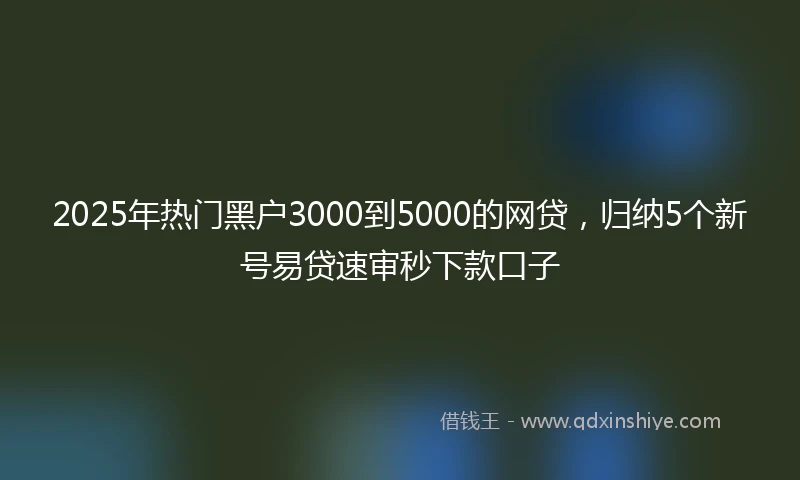 2025年热门黑户3000到5000的网贷，归纳5个新号易贷速审秒下款口子