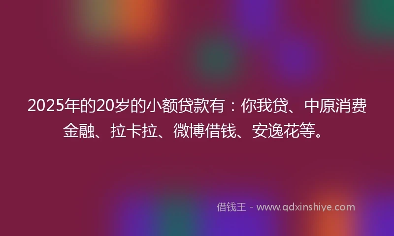 2025年的20岁的小额贷款有：你我贷、中原消费金融、拉卡拉、微博借钱、安逸花等。