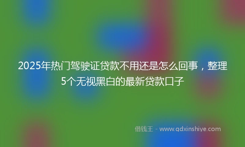 2025年热门驾驶证贷款不用还是怎么回事，整理5个无视黑白的最新贷款口子