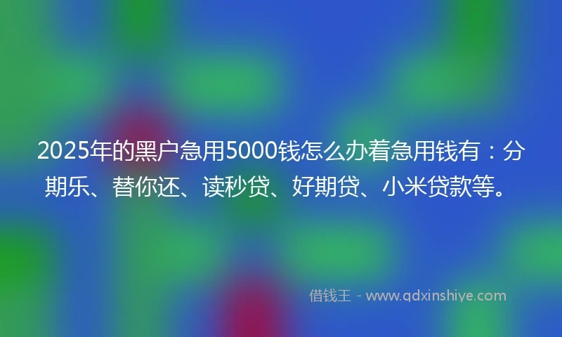 2025年的黑户急用5000钱怎么办着急用钱有：分期乐、替你还、读秒贷、好期贷、小米贷款等。