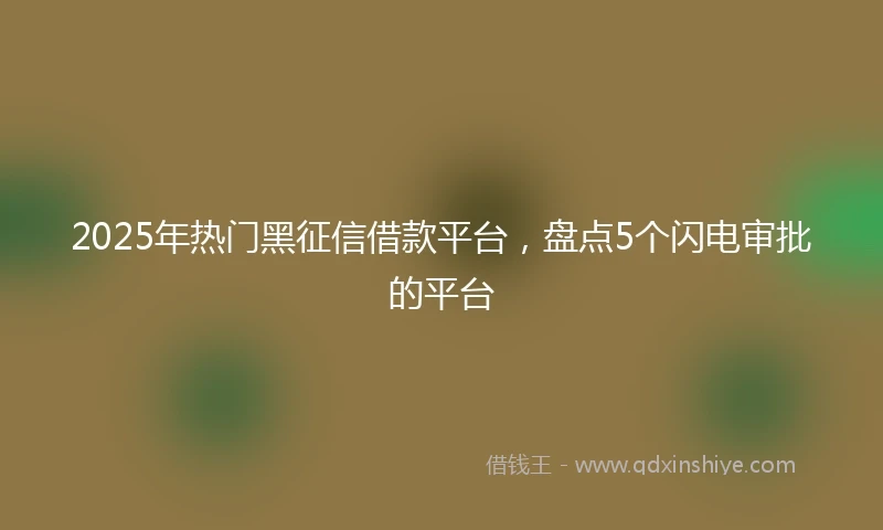 2025年热门黑征信借款平台，盘点5个闪电审批的平台