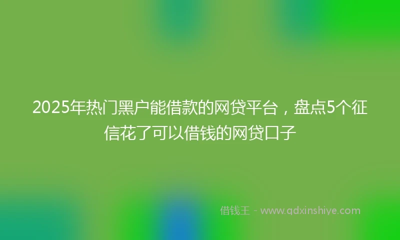 2025年热门黑户能借款的网贷平台，盘点5个征信花了可以借钱的网贷口子