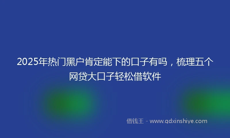 2025年热门黑户肯定能下的口子有吗，梳理五个网贷大口子轻松借软件