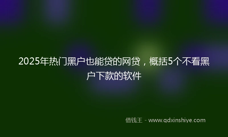 2025年热门黑户也能贷的网贷，概括5个不看黑户下款的软件