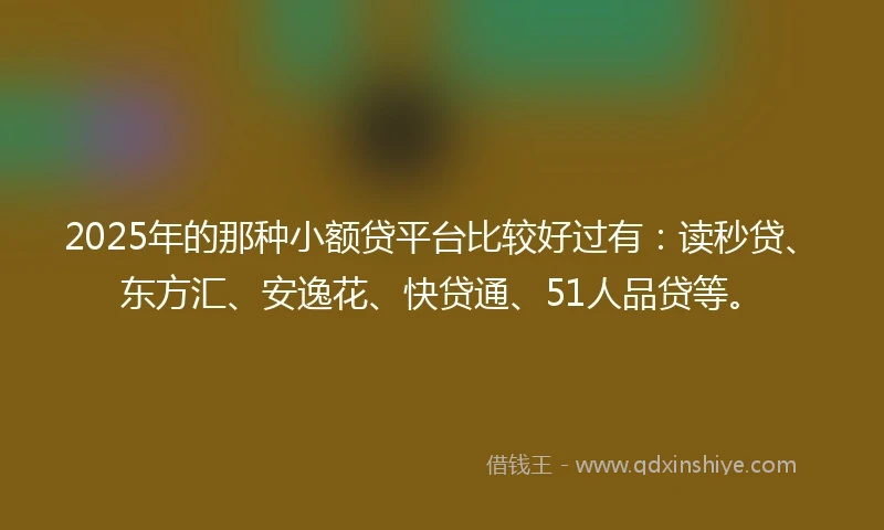 2025年的那种小额贷平台比较好过有：读秒贷、东方汇、安逸花、快贷通、51人品贷等。