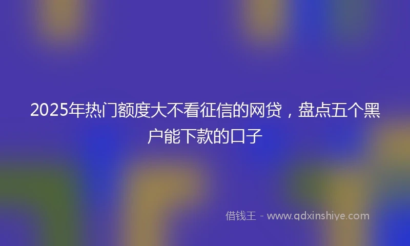 2025年热门额度大不看征信的网贷，盘点五个黑户能下款的口子