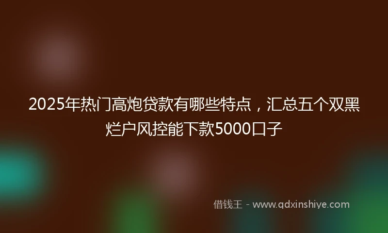 2025年热门高炮贷款有哪些特点，汇总五个双黑烂户风控能下款5000口子