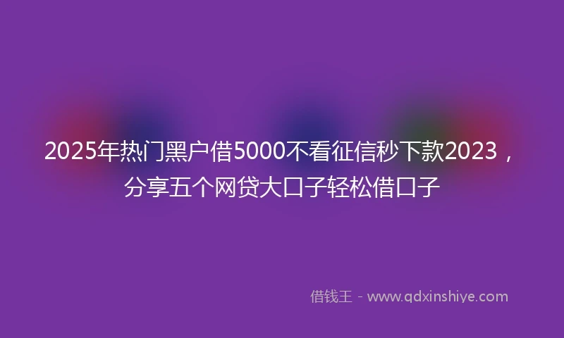 2025年热门黑户借5000不看征信秒下款2023，分享五个网贷大口子轻松借口子