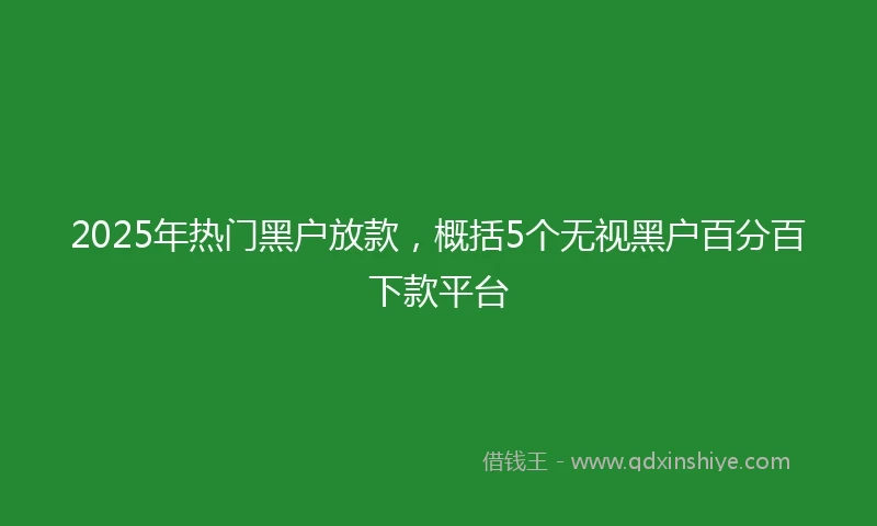 2025年热门黑户放款，概括5个无视黑户百分百下款平台