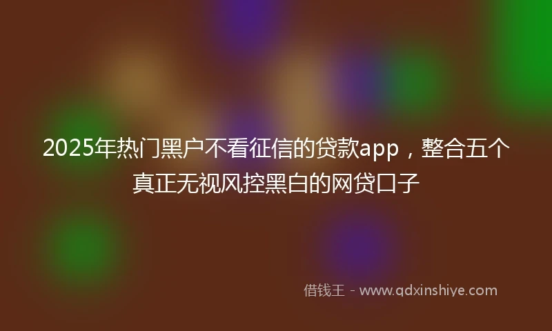 2025年热门黑户不看征信的贷款app，整合五个真正无视风控黑白的网贷口子