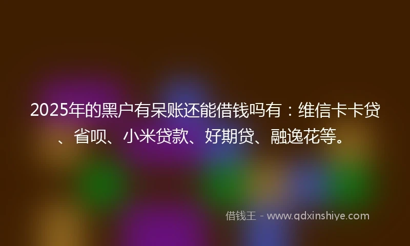 2025年的黑户有呆账还能借钱吗有：维信卡卡贷、省呗、小米贷款、好期贷、融逸花等。