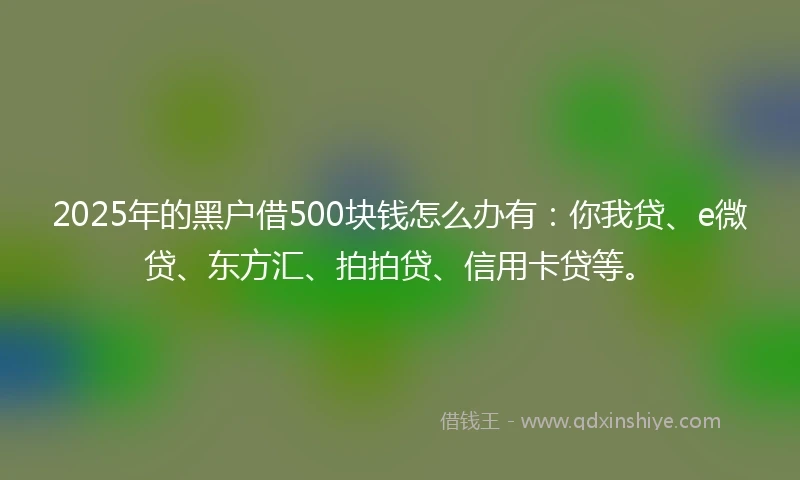 2025年的黑户借500块钱怎么办有：你我贷、e微贷、东方汇、拍拍贷、信用卡贷等。