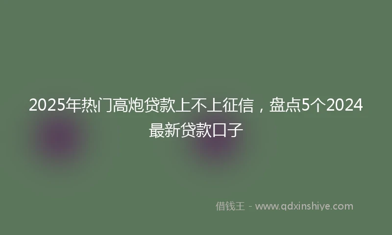 2025年热门高炮贷款上不上征信，盘点5个2024最新贷款口子