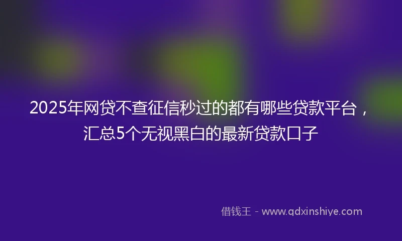 2025年网贷不查征信秒过的都有哪些贷款平台，汇总5个无视黑白的最新贷款口子