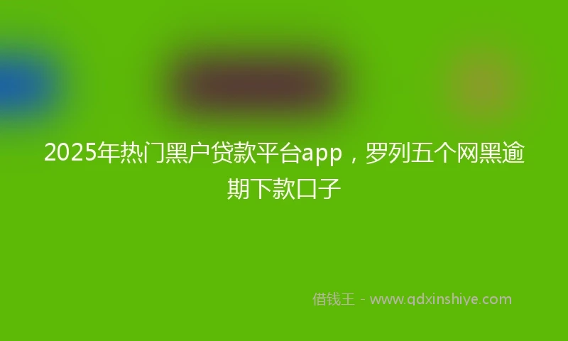 2025年热门黑户贷款平台app，罗列五个网黑逾期下款口子