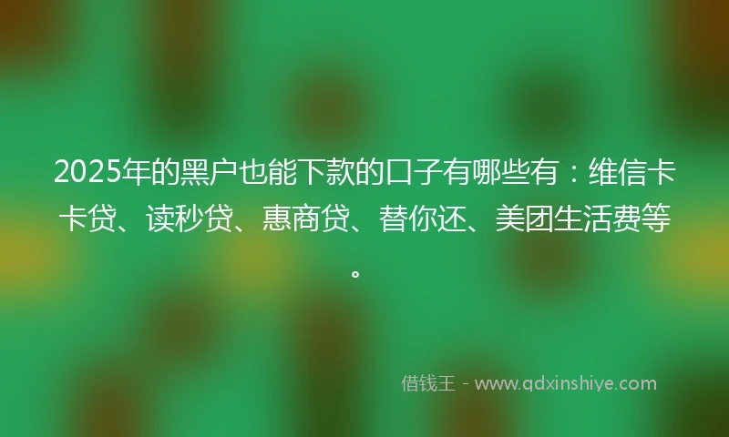 2025年的黑户也能下款的口子有哪些有：维信卡卡贷、读秒贷、惠商贷、替你还、美团生活费等。