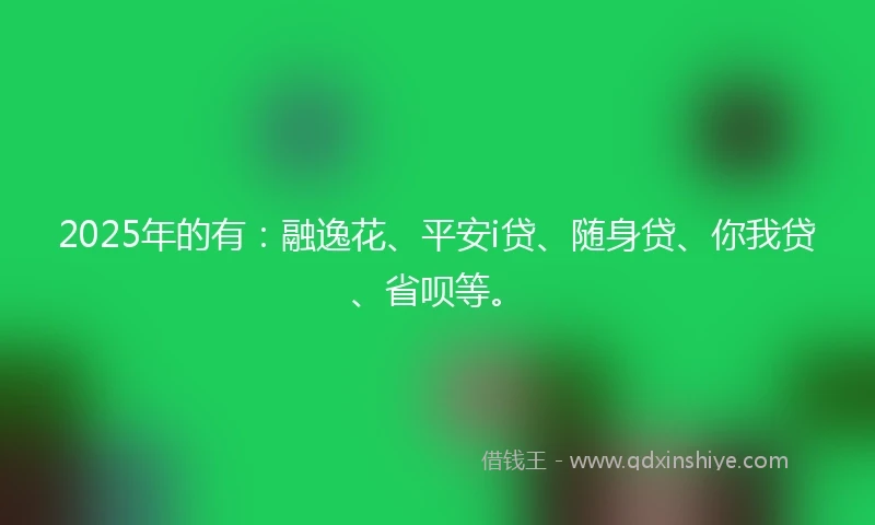 2025年的有：融逸花、平安i贷、随身贷、你我贷、省呗等。