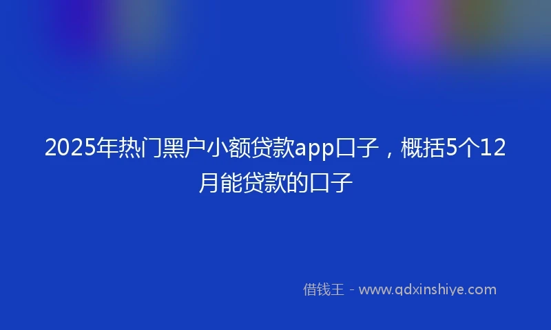 2025年热门黑户小额贷款app口子，概括5个12月能贷款的口子