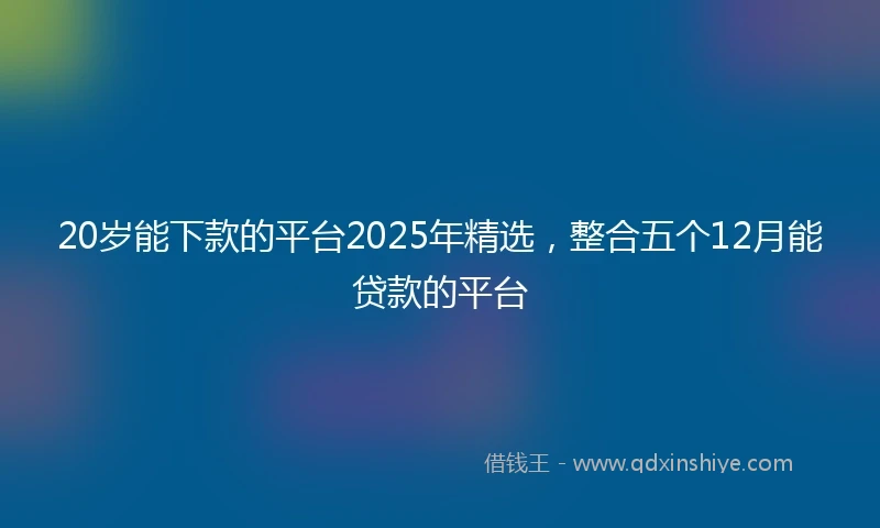 20岁能下款的平台2025年精选，整合五个12月能贷款的平台