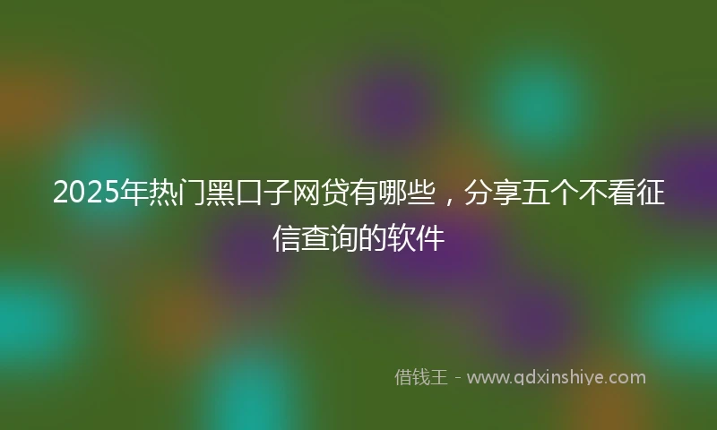 2025年热门黑口子网贷有哪些，分享五个不看征信查询的软件