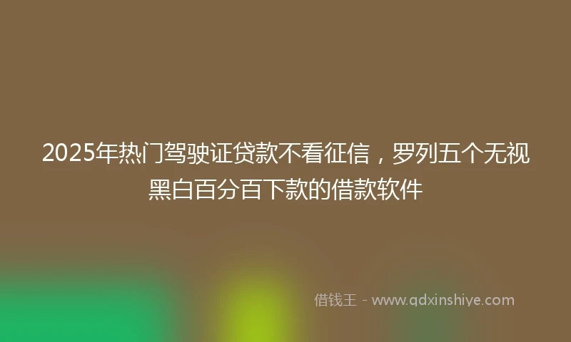 2025年热门驾驶证贷款不看征信，罗列五个无视黑白百分百下款的借款软件