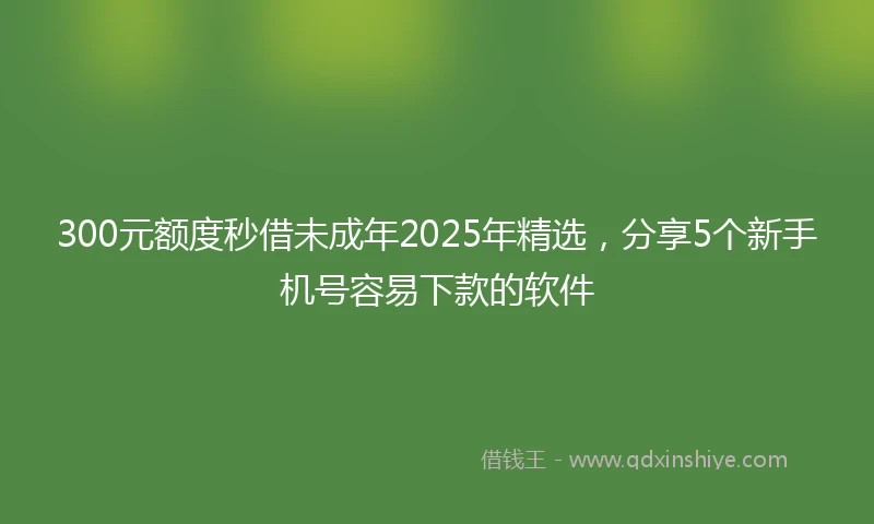 300元额度秒借未成年2025年精选，分享5个新手机号容易下款的软件