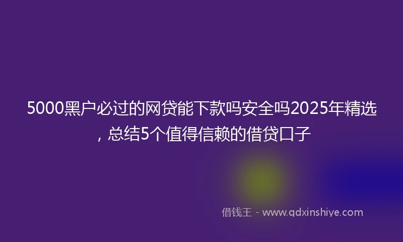 5000黑户必过的网贷能下款吗安全吗2025年精选，总结5个值得信赖的借贷口子