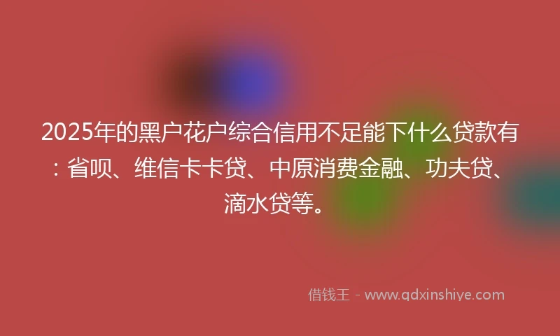 2025年的黑户花户综合信用不足能下什么贷款有：省呗、维信卡卡贷、中原消费金融、功夫贷、滴水贷等。