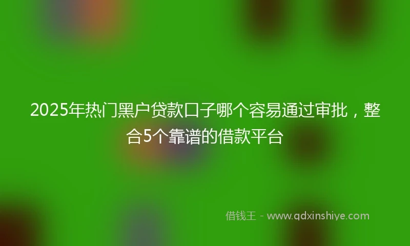 2025年热门黑户贷款口子哪个容易通过审批，整合5个靠谱的借款平台