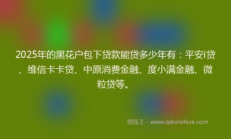 2025年的黑花户包下贷款能贷多少年有：平安i贷、维信卡卡贷、中原消费金融、度小满金融、微粒贷等。