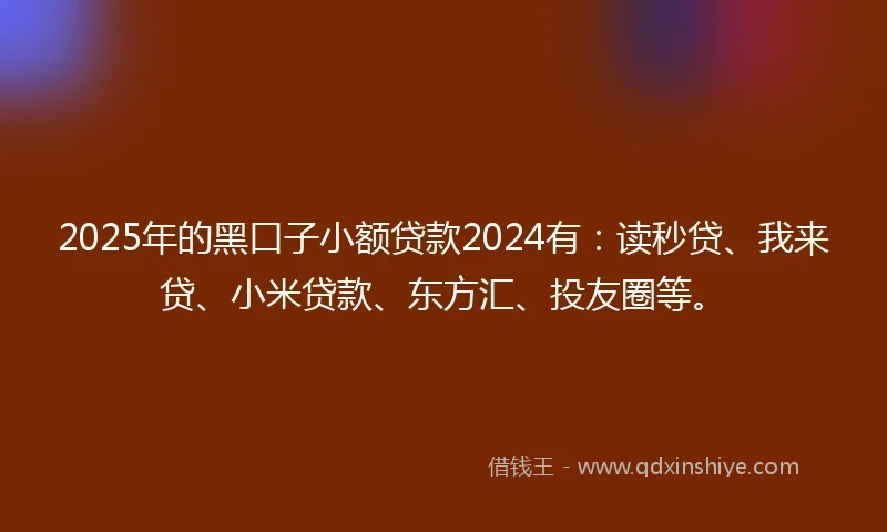 2025年的黑口子小额贷款2024有：读秒贷、我来贷、小米贷款、东方汇、投友圈等。
