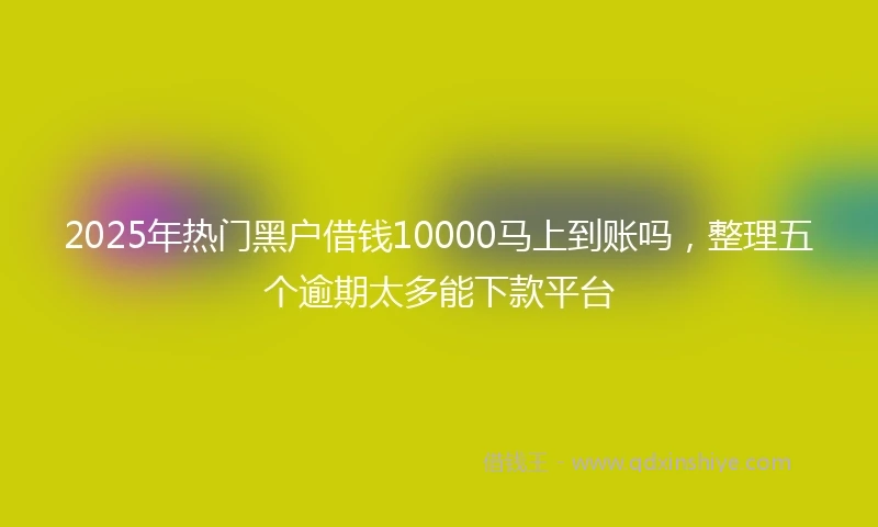 2025年热门黑户借钱10000马上到账吗，整理五个逾期太多能下款平台