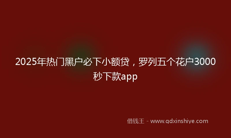 2025年热门黑户必下小额贷，罗列五个花户3000秒下款app