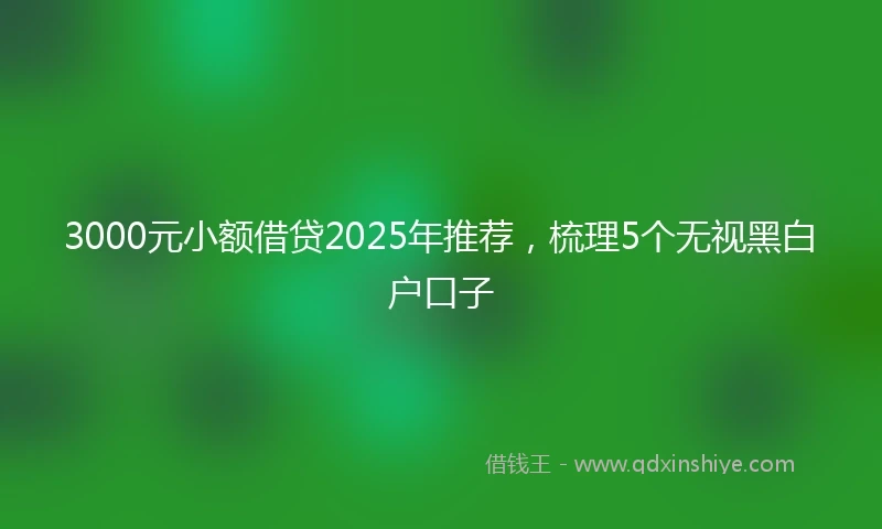 3000元小额借贷2025年推荐，梳理5个无视黑白户口子