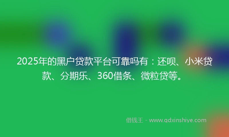 2025年的黑户贷款平台可靠吗有：还呗、小米贷款、分期乐、360借条、微粒贷等。