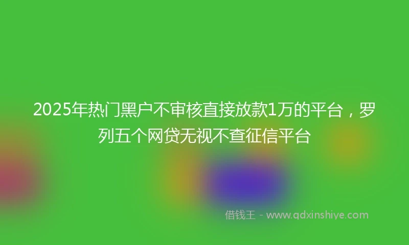 2025年热门黑户不审核直接放款1万的平台，罗列五个网贷无视不查征信平台
