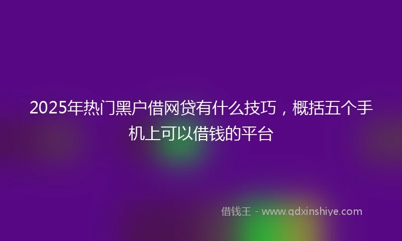 2025年热门黑户借网贷有什么技巧，概括五个手机上可以借钱的平台
