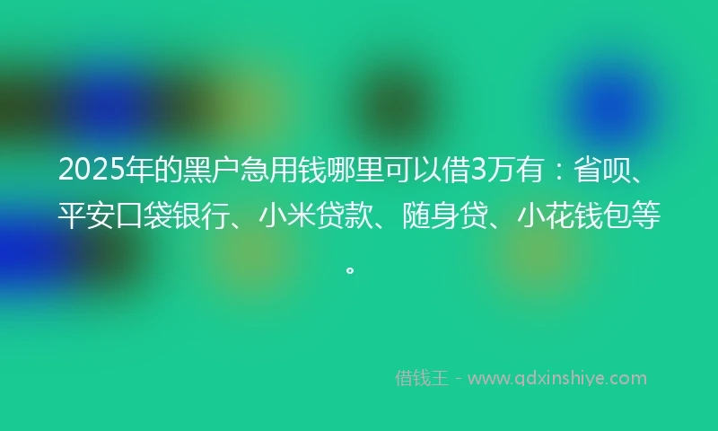 2025年的黑户急用钱哪里可以借3万有：省呗、平安口袋银行、小米贷款、随身贷、小花钱包等。